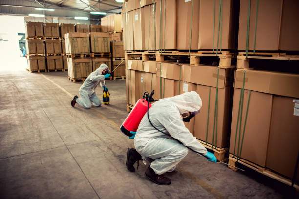 Best Best Pest Control Near Me  in Gonzales, CA