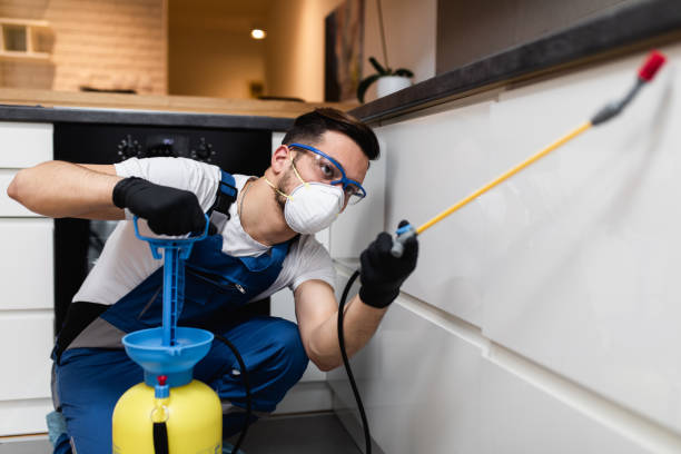 Professional Pest Control in Gonzales, CA