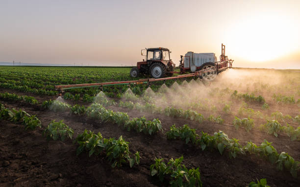 Best Insect Control  in Gonzales, CA