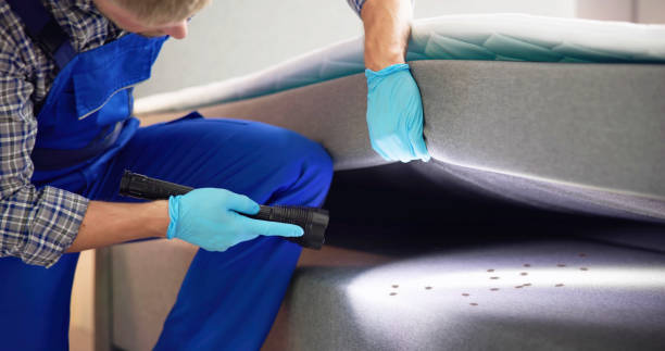 Pest Prevention Services in Gonzales, CA