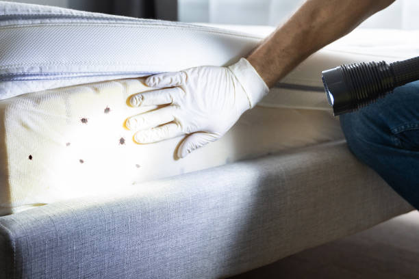 Best Best Pest Control Companies  in Gonzales, CA