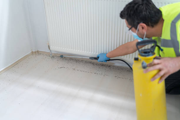 Best Emergency Pest Control  in Gonzales, CA